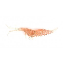 Силіконка для риби, EOS Crawfish, 90мм, 5шт/уп, колір №502